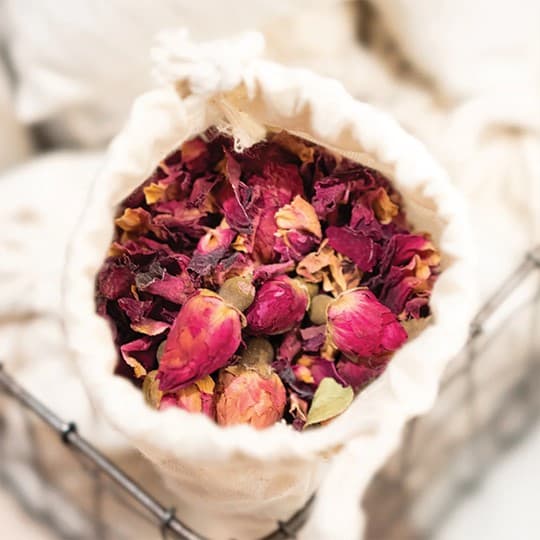 Fragrant Gift with Purchase