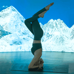 1 Immersive Yoga Class