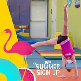 Free Additional Holiday Camp