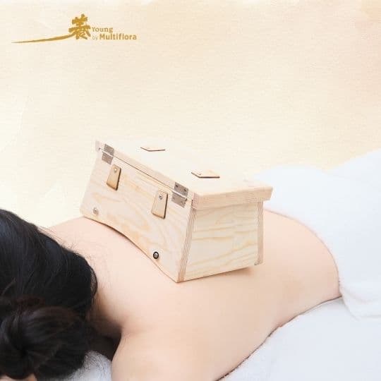 30mins Meridian Moxa Therapy